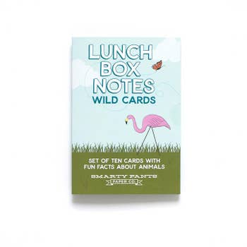 Lunch Box Notes | Assorted - Poppy and Stella