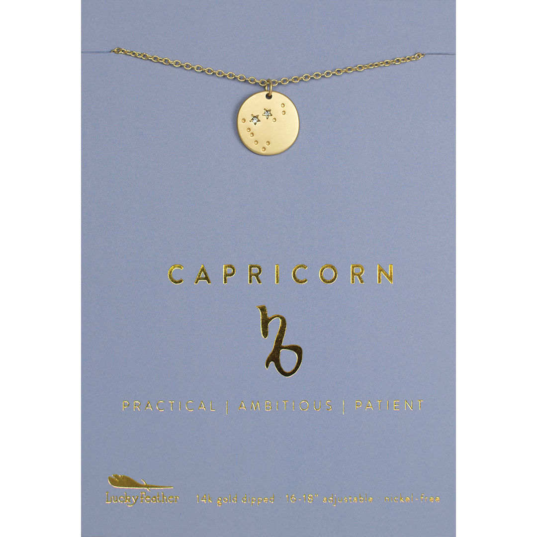 Zodiac Necklace | Capricorn - Poppy and Stella