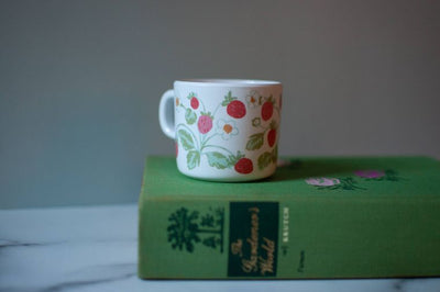 Sippy Cup | Vintage Strawberry - Poppy and Stella